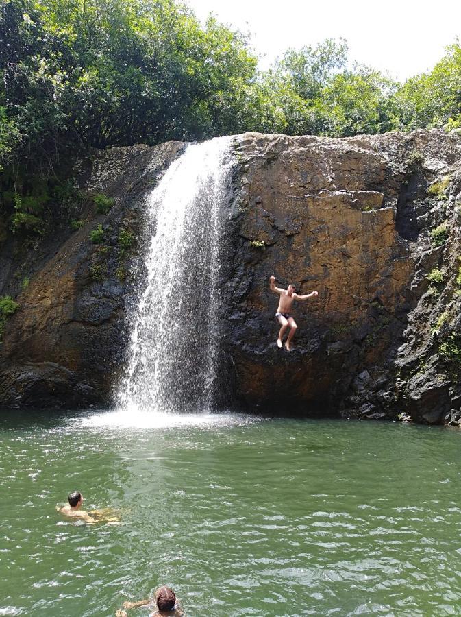 Green Discovery B&B Tamarind Falls 7 Cascades Henrietta エクステリア 写真