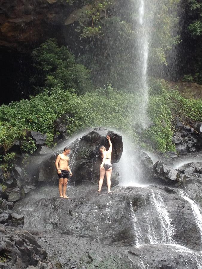 Green Discovery B&B Tamarind Falls 7 Cascades Henrietta エクステリア 写真